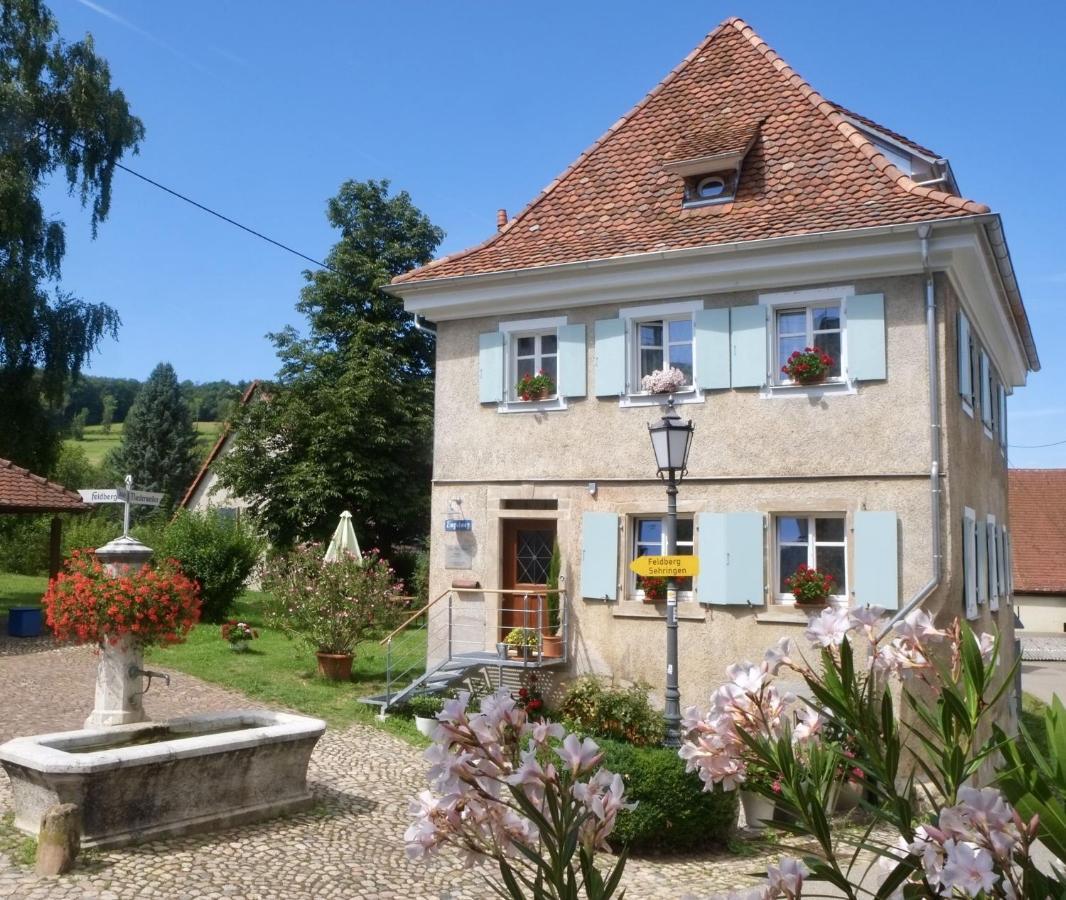 Ferienhaus Zur Alten Dame Баденвайлер Екстер'єр фото